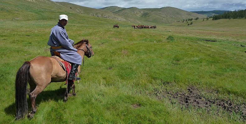 B02 Mongolie 2.jpg